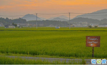 15條保持好心態(tài)的句子 每一根羽毛都閃耀著自由的光輝3