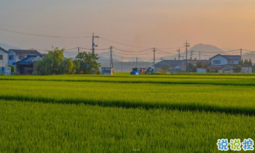 15條保持好心態(tài)的句子 每一根羽毛都閃耀著自由的光輝4