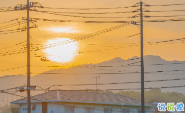 15條保持好心態(tài)的句子 每一根羽毛都閃耀著自由的光輝5