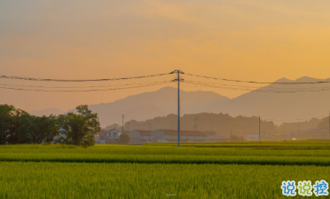 15條保持好心態(tài)的句子 每一根羽毛都閃耀著自由的光輝6