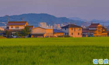 15條保持好心態(tài)的句子 每一根羽毛都閃耀著自由的光輝7