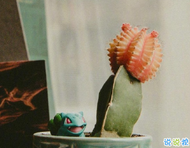 女人高冷又隨性的句子善待自己 時(shí)間抵擋不過我們的善變2