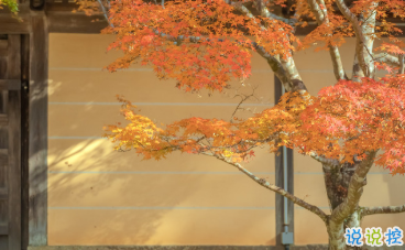 15條保持好心態(tài)的句子 每一根羽毛都閃耀著自由的光輝15