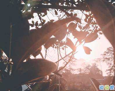 30句很走心的干凈短句早安勵志 要想有所得就要有所戒2