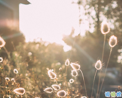 30句很走心的干凈短句早安勵志 要想有所得就要有所戒1