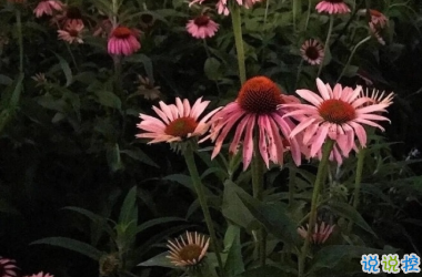 心情低落時(shí)可以看的句子  不要去反復(fù)思考同一個(gè)問題11