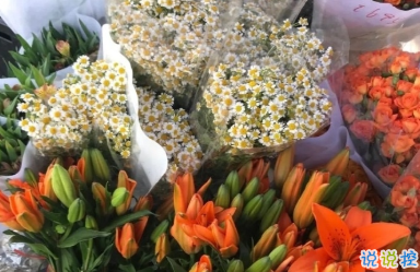 心情低落時(shí)可以看的句子  不要去反復(fù)思考同一個(gè)問題12