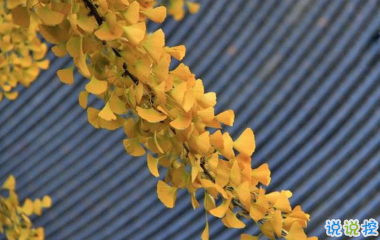 讓人覺得很驚艷的古詩詞 星斗滿天人睡也1