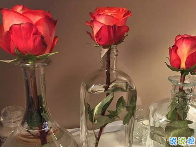 畢業(yè)季可作畢業(yè)贈言文案 希望你好平安最好1