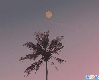 最走心的經(jīng)典句子句句精辟2021 喜歡什么就要付出努力去爭取2