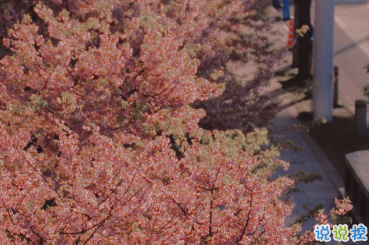適合女生公布戀情的句子 分享我的寶藏男孩1