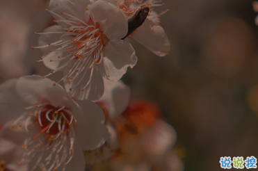 適合女生公布戀情的句子 分享我的寶藏男孩3