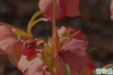 適合女生公布戀情的句子 分享我的寶藏男孩5