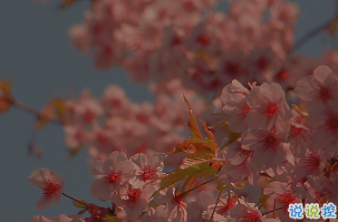適合女生公布戀情的句子 分享我的寶藏男孩9