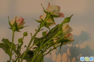 適合女生公布戀情的句子 分享我的寶藏男孩10