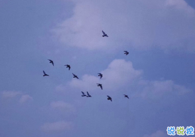 很搞笑的朋友圈的好句子 人生得意須盡歡1