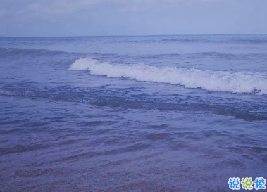 很搞笑的朋友圈的好句子 人生得意須盡歡2