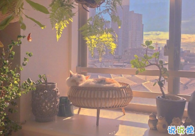 2021發(fā)朋友圈的可愛小短句 看看藍(lán)天擁抱大海享受陽光1