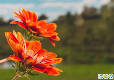 一個(gè)人撐的很累的說說 會(huì)讓人收藏很久的句子1