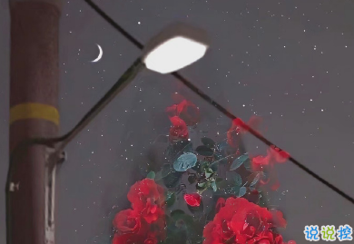 看著笑死人的朋友圈說說 2021一波沙雕又可愛的文案1