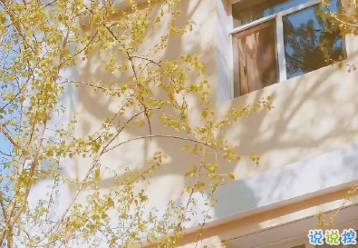 十分暖心的早安祝福說說 2021早安最句子2