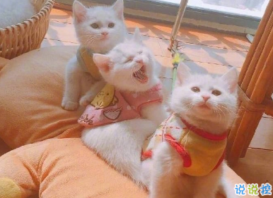 30條關(guān)于愛(ài)情的可愛(ài)句子 我和天地萬(wàn)物通通奔向你 2