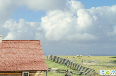 秋天第一個(gè)柚子文案 有一起剝柚子人2