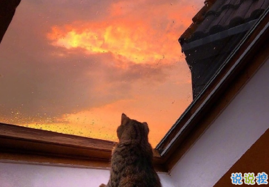 2021有點(diǎn)喪的發(fā)朋友圈小句子 適合深夜發(fā)的小句子5