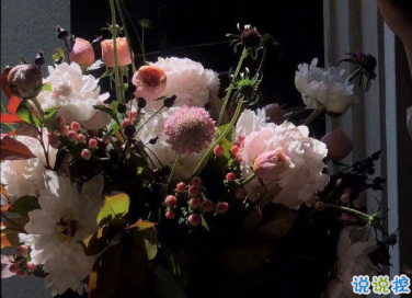 2021有點(diǎn)喪的發(fā)朋友圈小句子 適合深夜發(fā)的小句子9