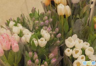 2021有點(diǎn)喪的發(fā)朋友圈小句子 適合深夜發(fā)的小句子10