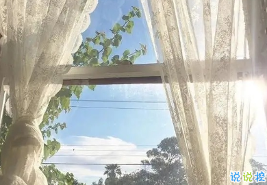 2021有點(diǎn)喪的發(fā)朋友圈小句子 適合深夜發(fā)的小句子14