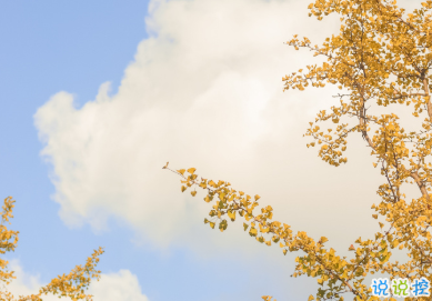 2021諧音梗的甜甜沙雕文案 具有反差的朋友圈文案1