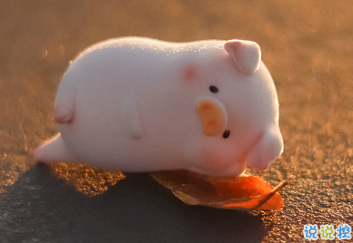 2021諧音梗的甜甜沙雕文案 具有反差的朋友圈文案2