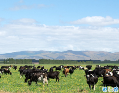 2020寒露早安祝福心語(yǔ) 入秋的第五個(gè)節(jié)日9