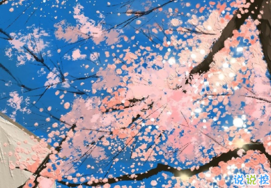  2020合適雙十一光棍節(jié)發(fā)的說說 大家早日脫單的又去文案2