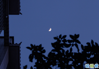 提高朋友圈檔次的句子 一些高逼格的句子1