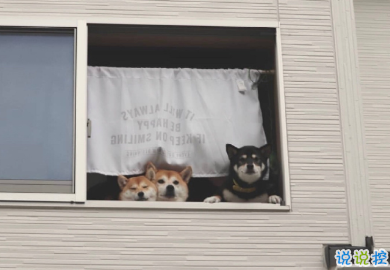 提高朋友圈檔次的句子 一些高逼格的句子5