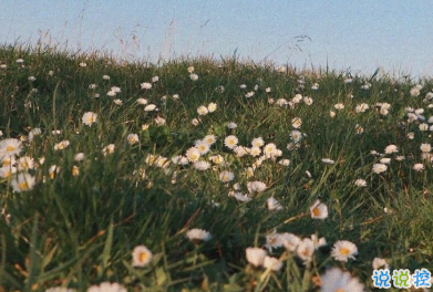 15句教你如何去看懂一個人 教你如何去識人 11