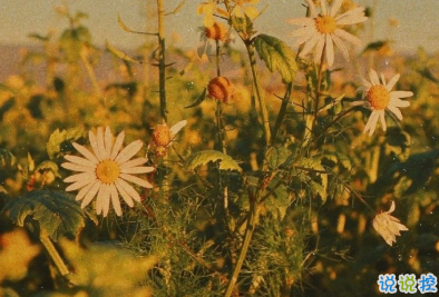 15句教你如何去看懂一個人 教你如何去識人 13