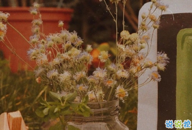 15句教你如何去看懂一個人 教你如何去識人 14