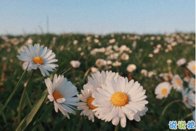 15句教你如何去看懂一個人 教你如何去識人 15