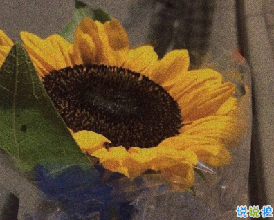 30件變優(yōu)秀提升幸福感的事情 帶給我們幸福感1