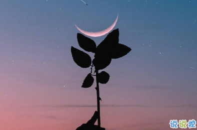 冬天有關(guān)美食的朋友圈文案 微博最火的文案1