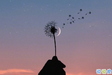 冬天有關(guān)美食的朋友圈文案 微博最火的文案2