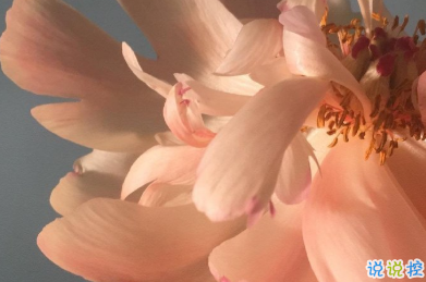 冬天有關(guān)美食的朋友圈文案 微博最火的文案11