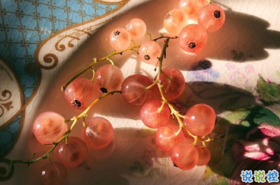 冬天有關(guān)美食的朋友圈文案 微博最火的文案12