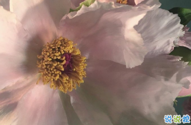 冬天有關(guān)美食的朋友圈文案 微博最火的文案13