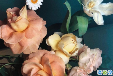 冬天有關(guān)美食的朋友圈文案 微博最火的文案14