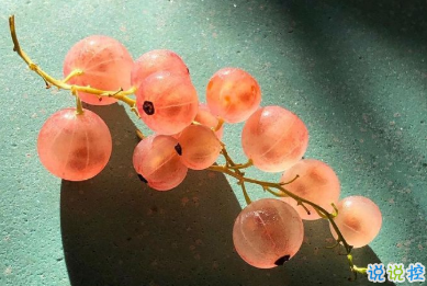 冬天有關(guān)美食的朋友圈文案 微博最火的文案15