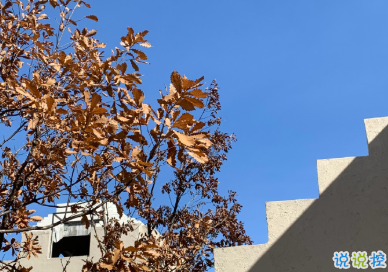 很溫暖人心的說說 陽(yáng)光正好的遇見你2